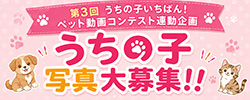 うちの子写真大募集!