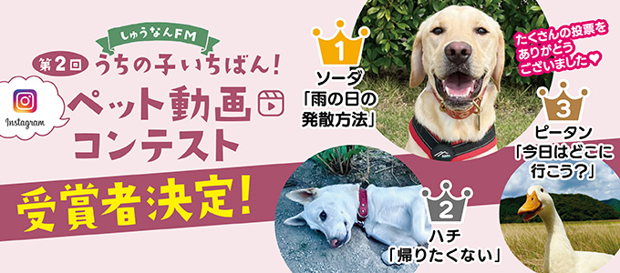 第2回うちの子いちばん!ペット動画コンテスト結果発表